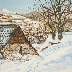 "Valle de Arán", 25 x 55, Foto: Felipe Pérez-Garre: https://felipeperezgarre.com/