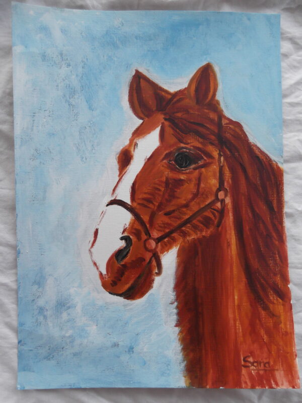 Cuadro Caballo
