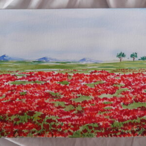 Cuadro Campo de amapolas