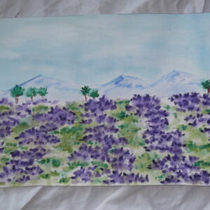 Cuadro Campo de lavanda