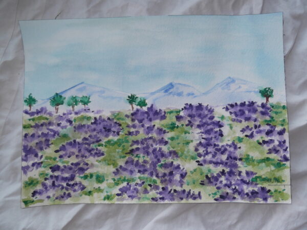 Cuadro Campo de lavanda