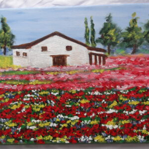 Cuadro Casita
