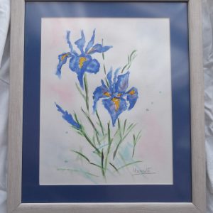 "Pareja de iris", 29,5 x 23, 40,5 x 34