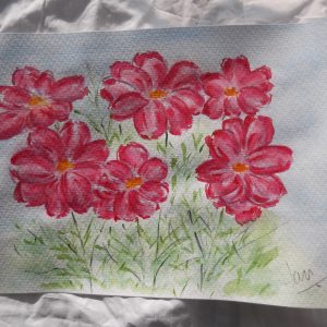 "Cosmos rosa", 36 x 26