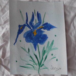 Cuadro Iris
