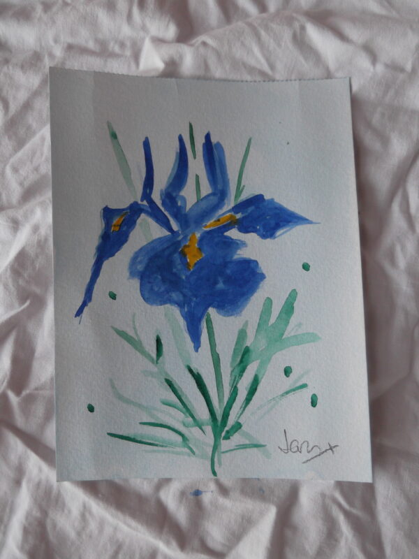 Cuadro Iris