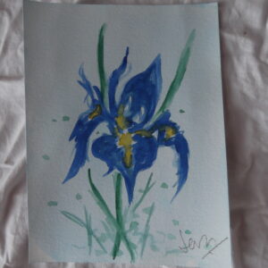 Cuadro Iris 2