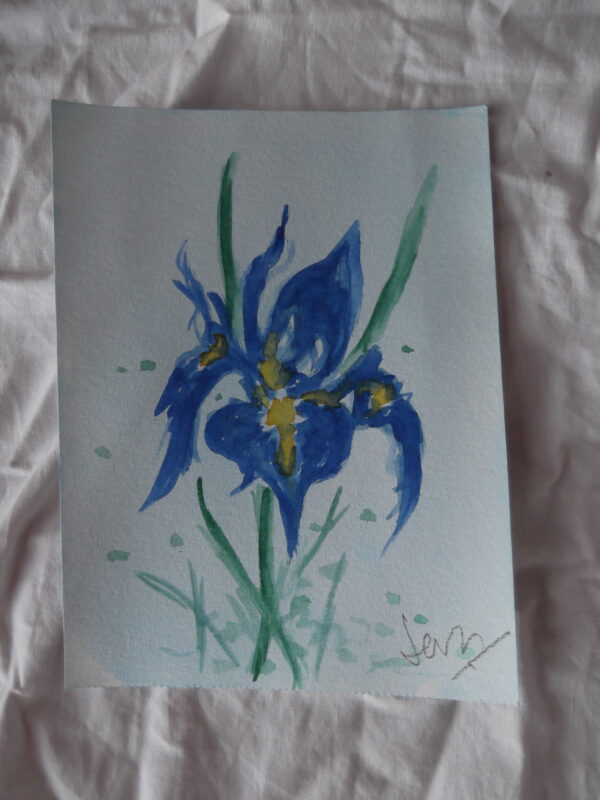 Cuadro Iris 2