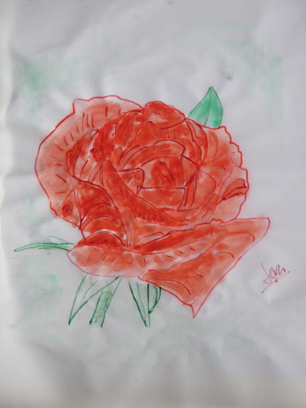 Cuadro Rosa
